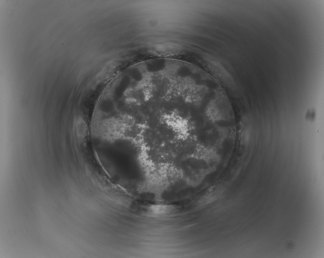 X0000113980371200910021143