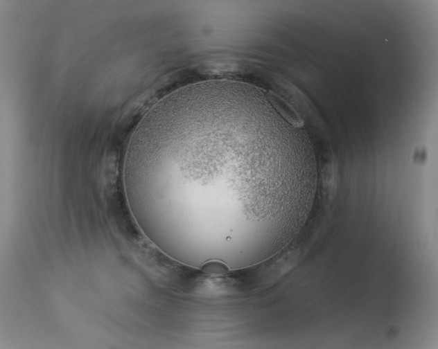 X0000113980372200910021143