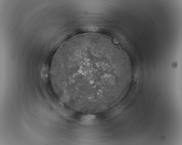 X0000113980374200910021143