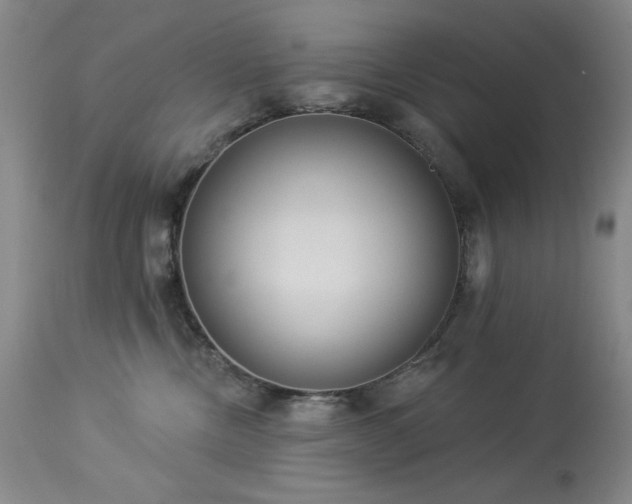 X0000113980378200910021143