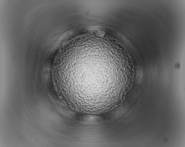 X0000113980379200910021143