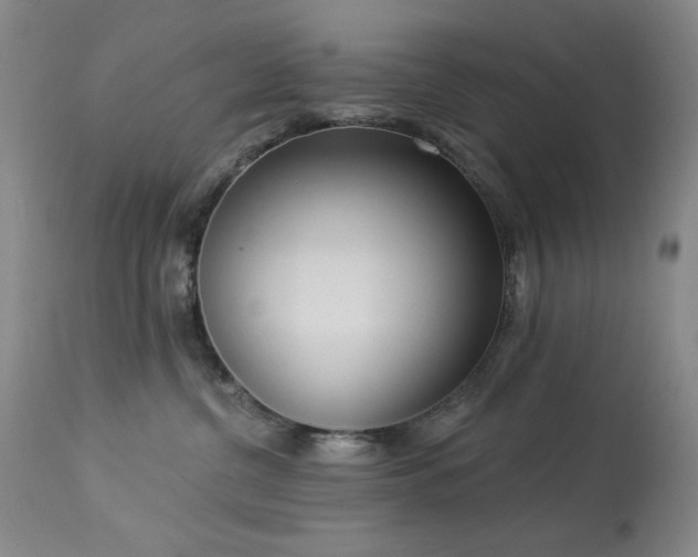 X0000113980380200910021143