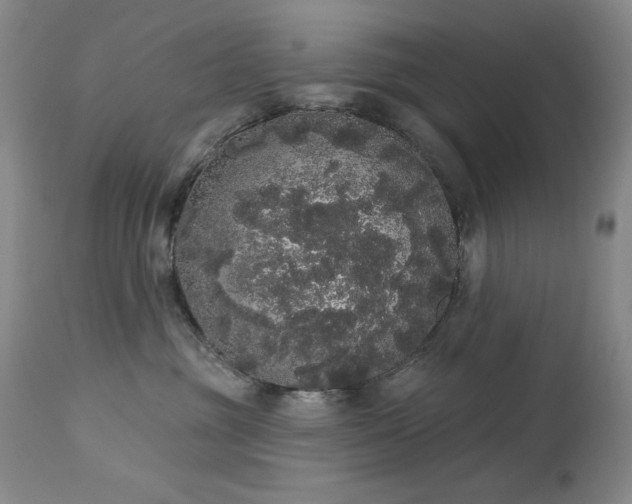 X0000113980381200910021143