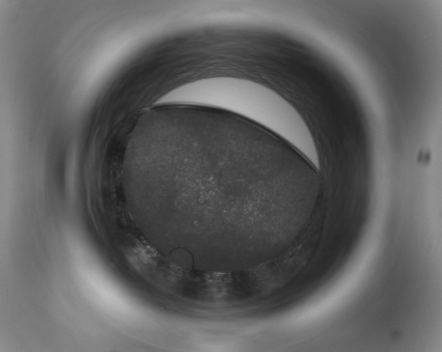 X0000113980382200910021143