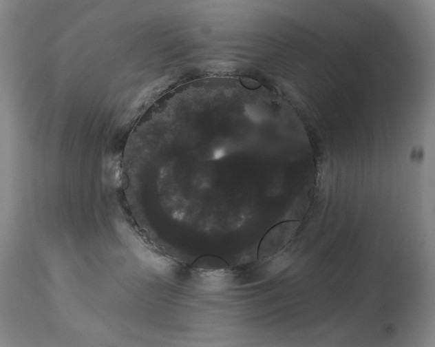 X0000113980383200910021143