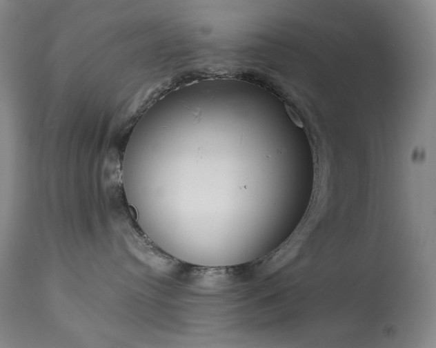 X0000113980384200910021143