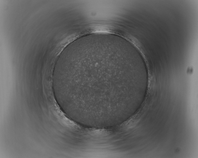 X0000113980385200910021142