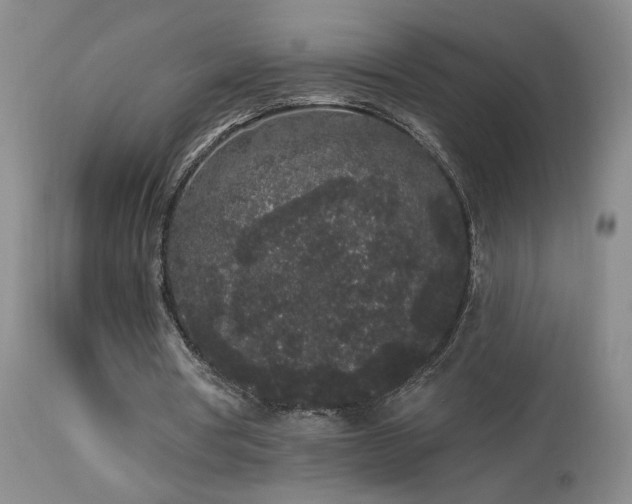 X0000113980386200910021142