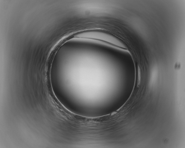 X0000113980387200910021142