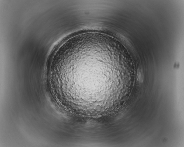 X0000113980388200910021142