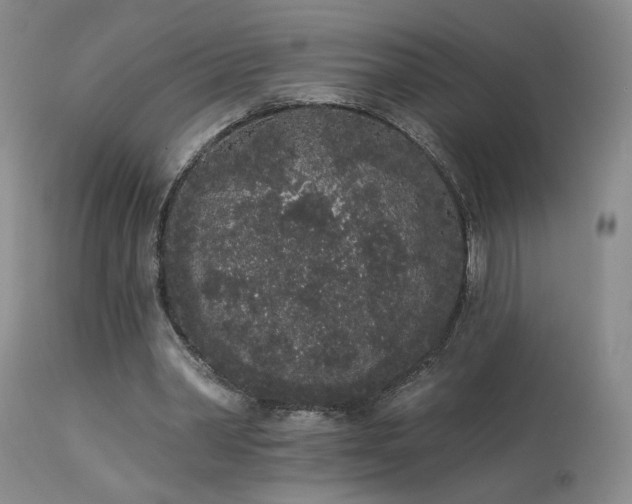 X0000113980390200910021142