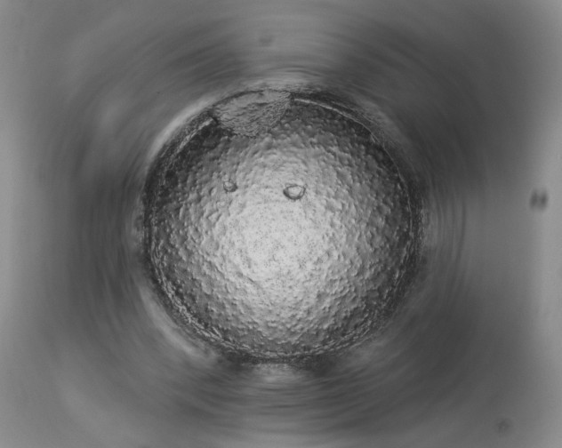 X0000113980392200910021142