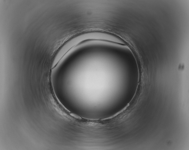 X0000113980393200910021142