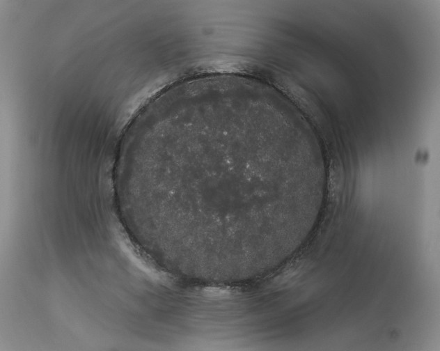 X0000113980394200910021142