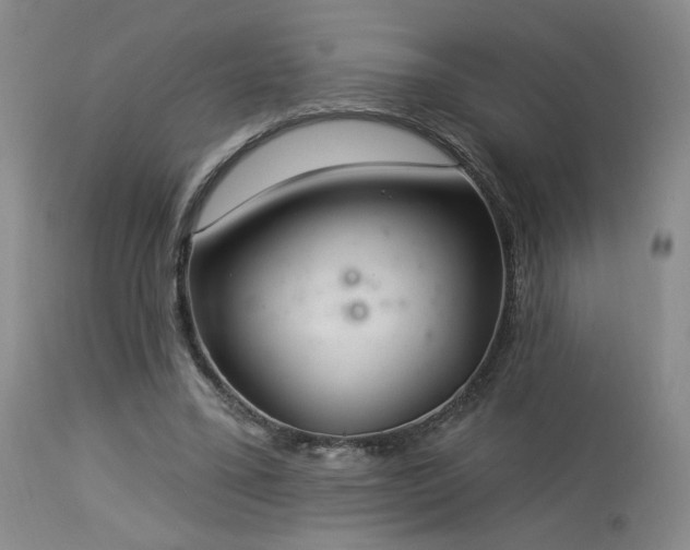 X0000113980395200910021142