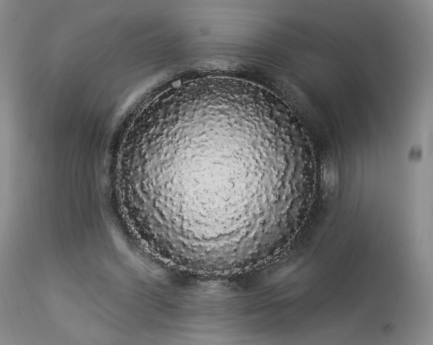 X0000113980396200910021142