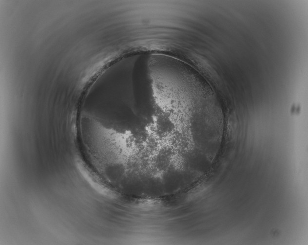 X0000113980398200910021142