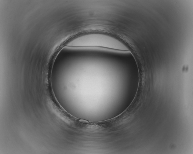 X0000113980399200910021142