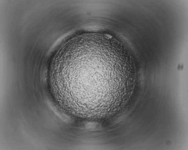 X0000113980400200910021142