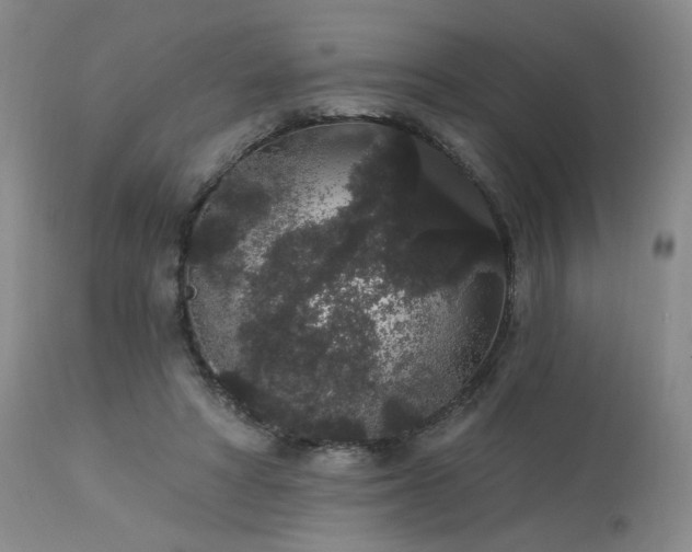 X0000113980402200910021142