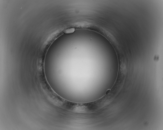 X0000113980403200910021142