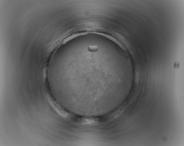 X0000113980405200910021142