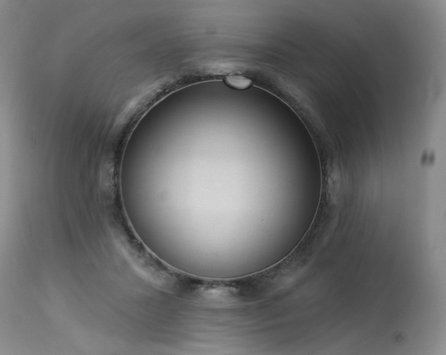 X0000113980407200910021142