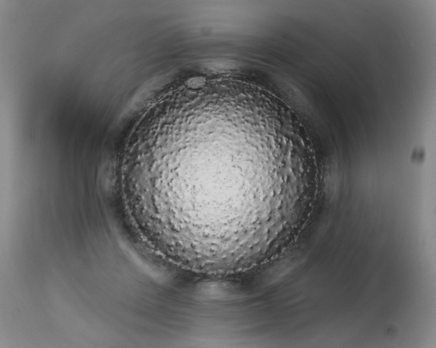 X0000113980408200910021142