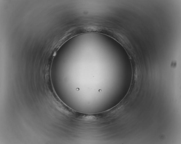 X0000113980409200910021142