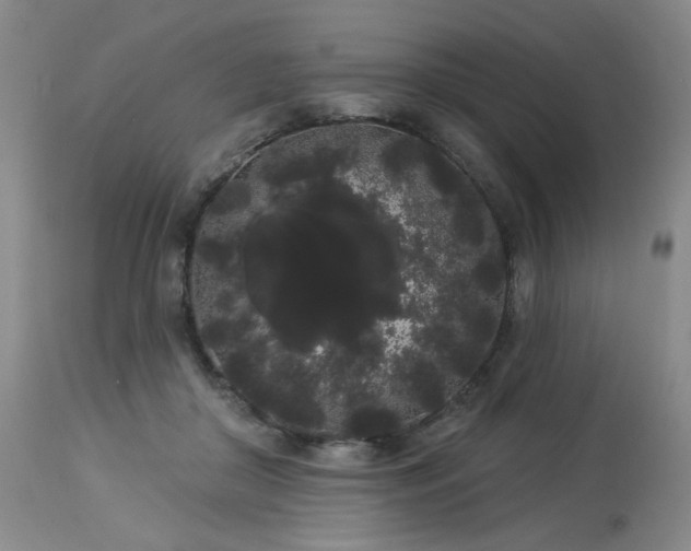 X0000113980410200910021142