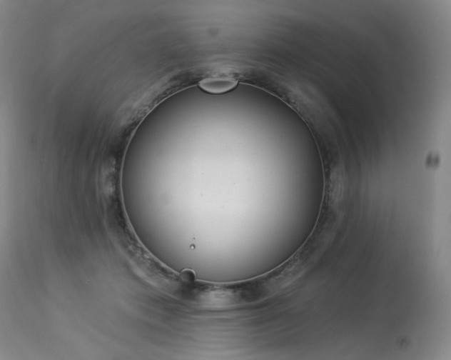 X0000113980413200910021142