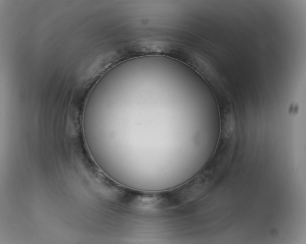 X0000113980414200910021142