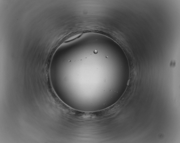 X0000113980415200910021142