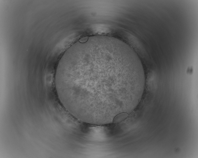 X0000113980417200910021142