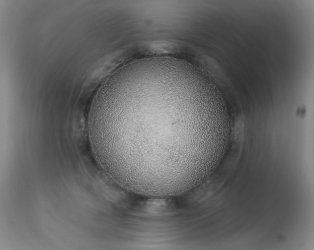 X0000113980418200910021142