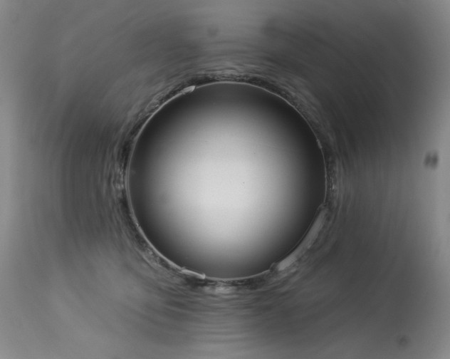 X0000113980419200910021142