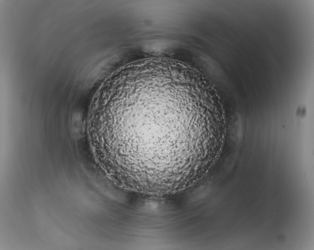 X0000113980420200910021142