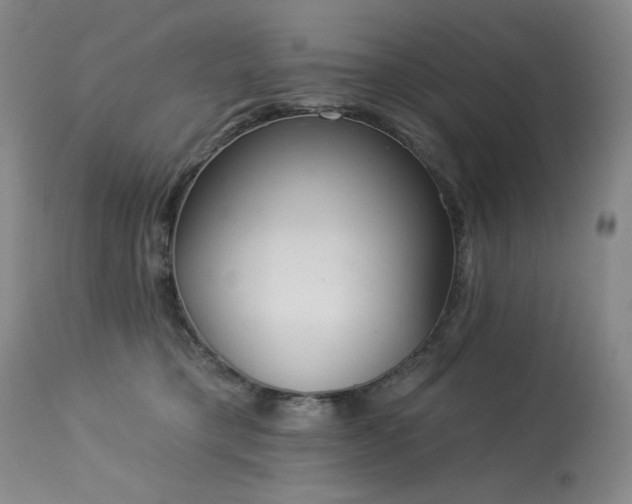 X0000113980421200910021142