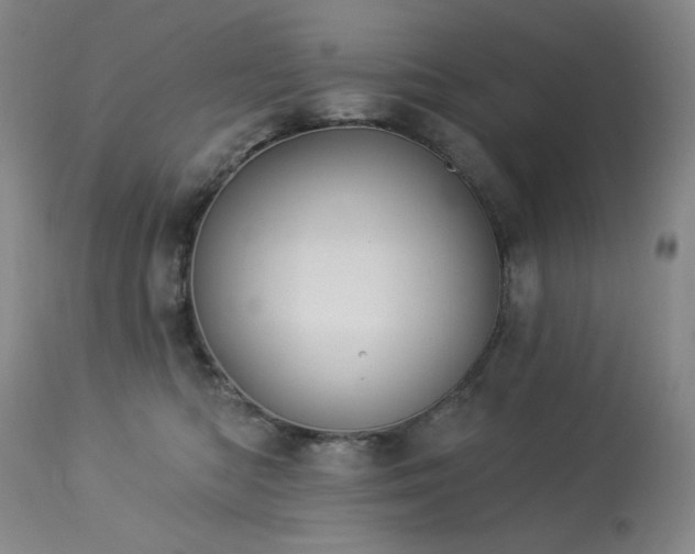 X0000113980422200910021142