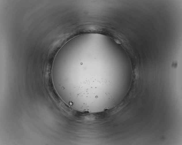 X0000113980423200910021142