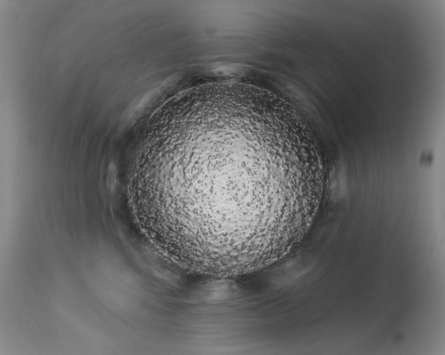 X0000113980424200910021141