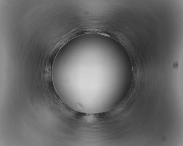 X0000113980425200910021141