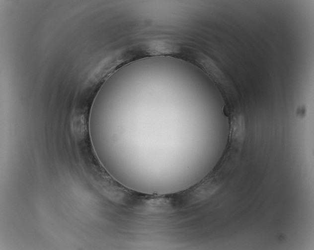 X0000113980426200910021141