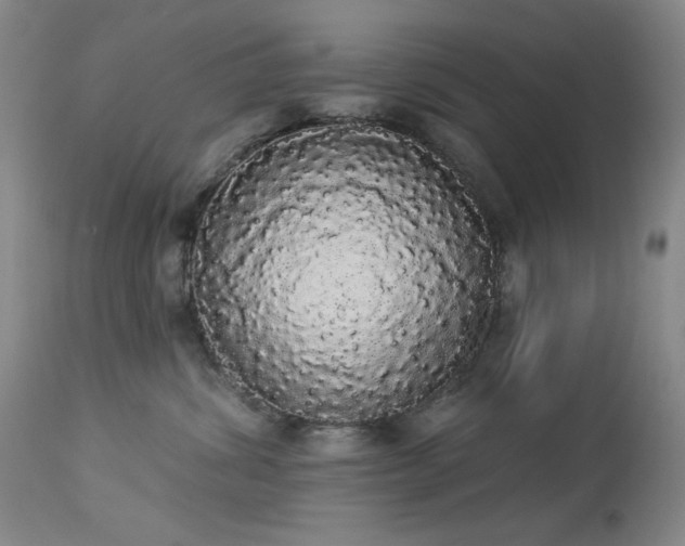 X0000113980428200910021141