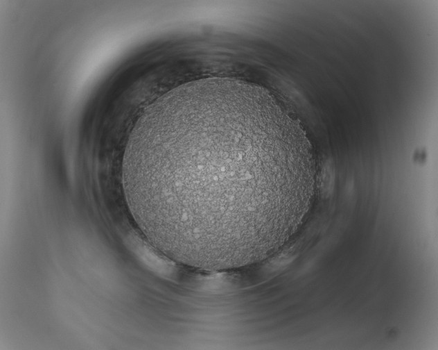 X0000113980430200910021141