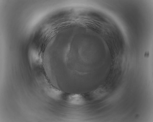 X0000113980431200910021141