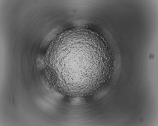 X0000113980432200910021141