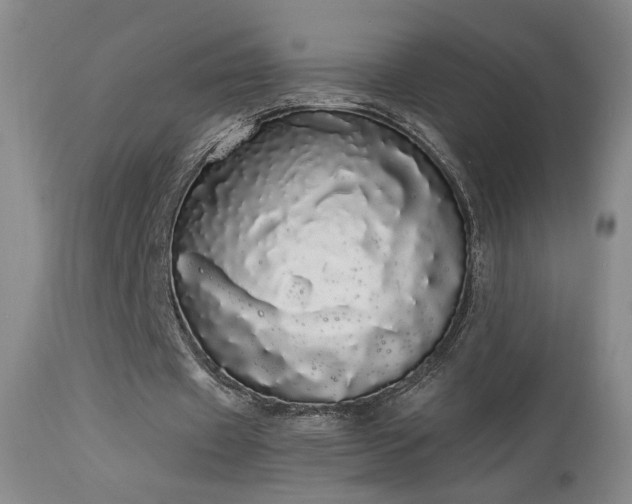 X0000113980433200910021140