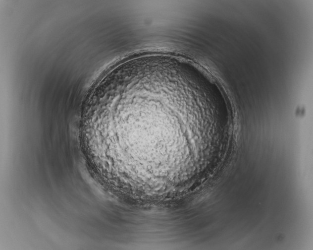 X0000113980434200910021140