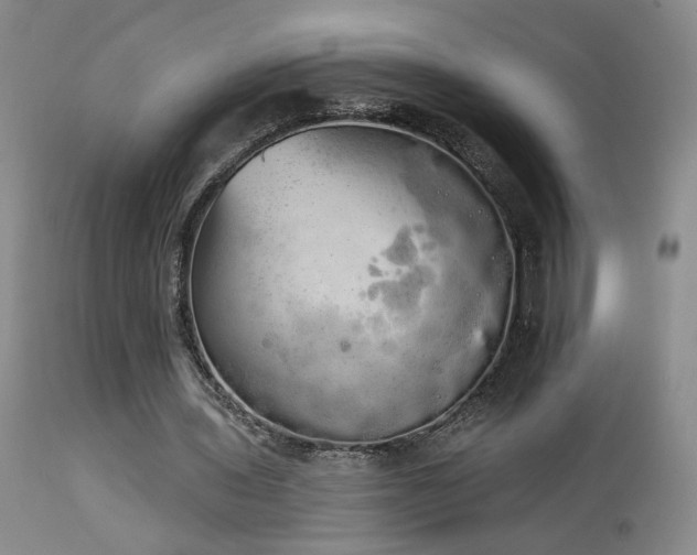 X0000113980435200910021140